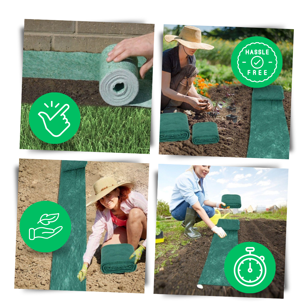 Tapis de semences de gazon vert à fixation rapide
- Ozerty