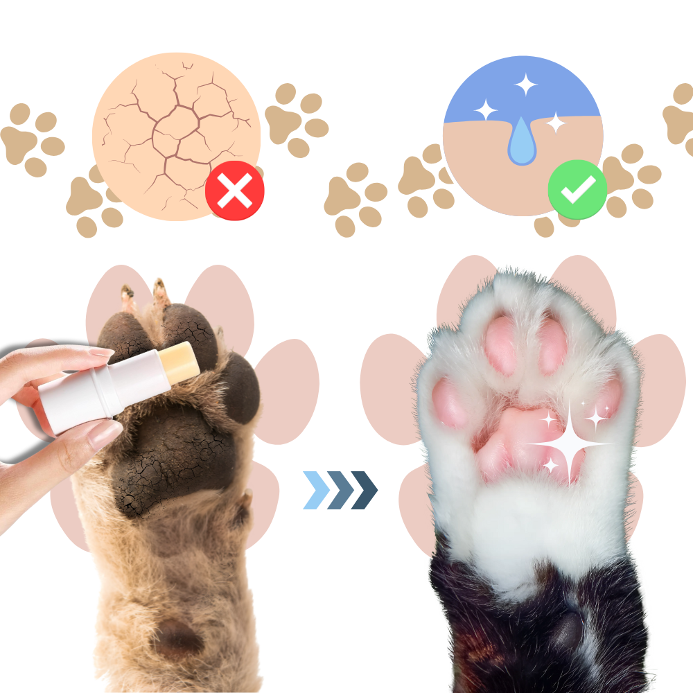 Baume apaisant pour coussinets d'animaux - Ozerty