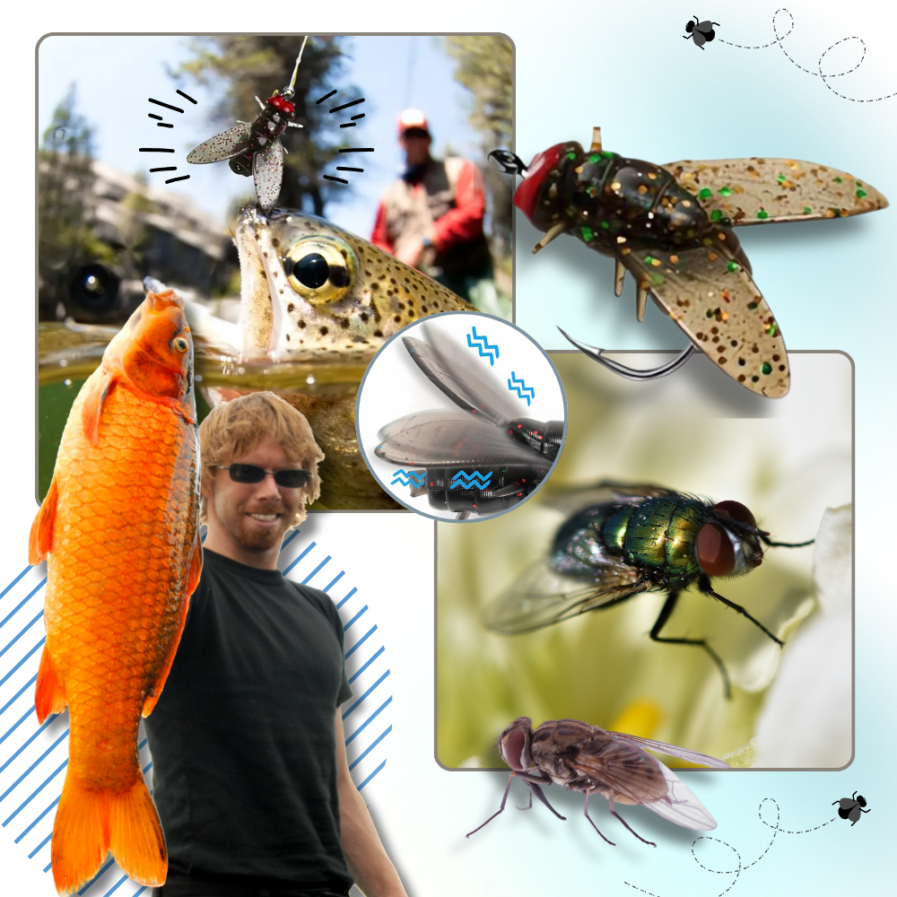 Appâts réalistes pour la pêche à la mouche - Ozerty