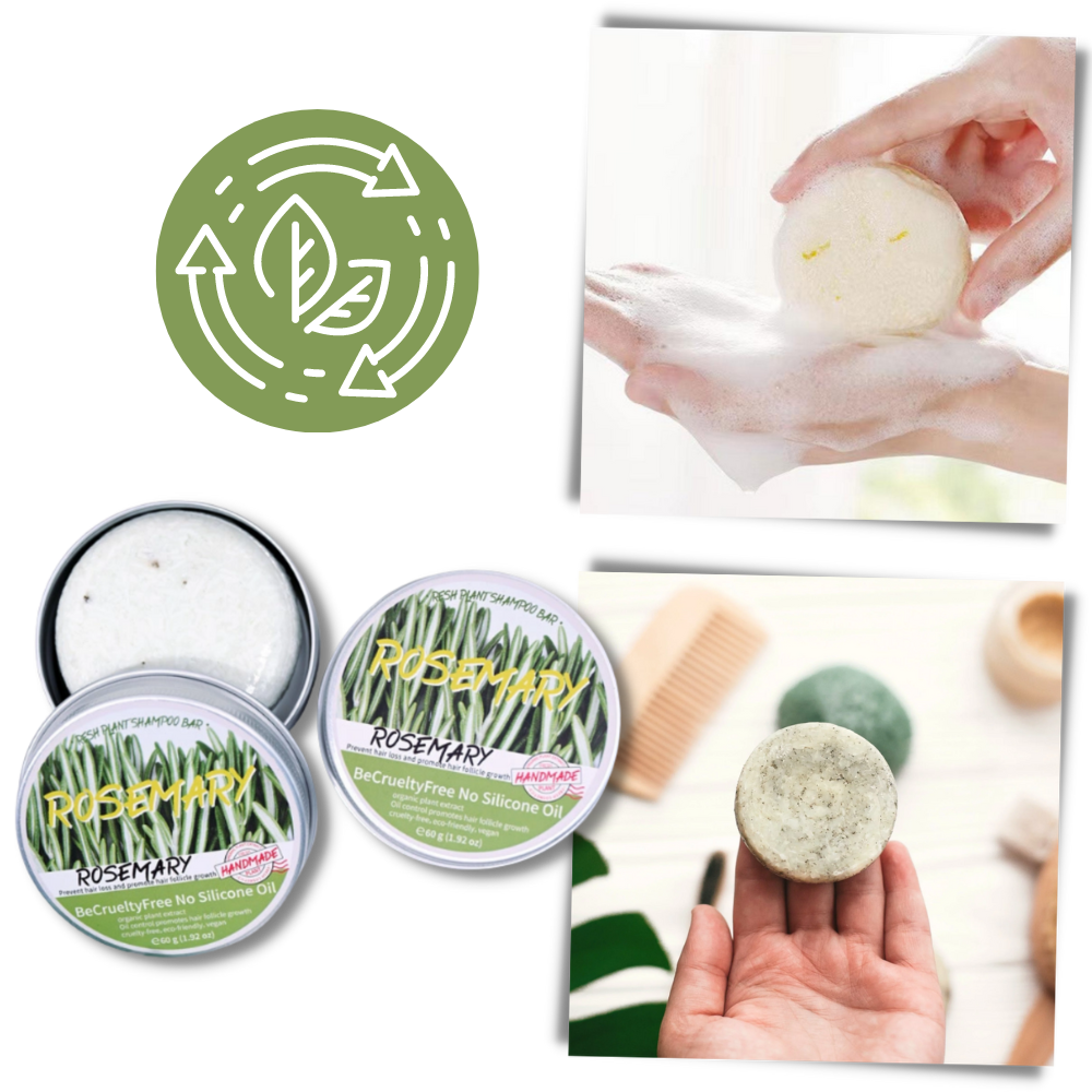 Shampoing au romarin
 - Ozerty