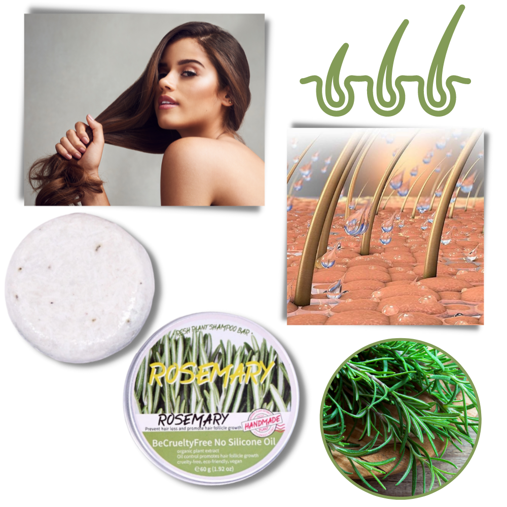 Shampoing au romarin
 - Ozerty