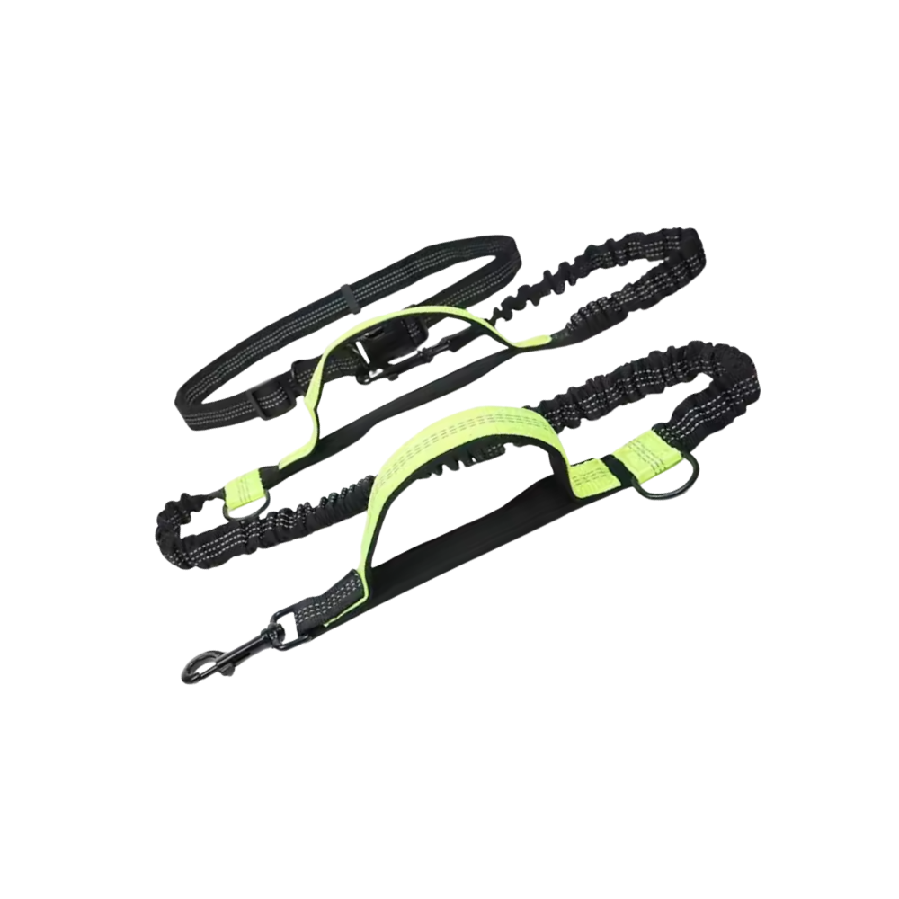 Laisse de sécurité mains-libres pour chien -Vert - Ozerty