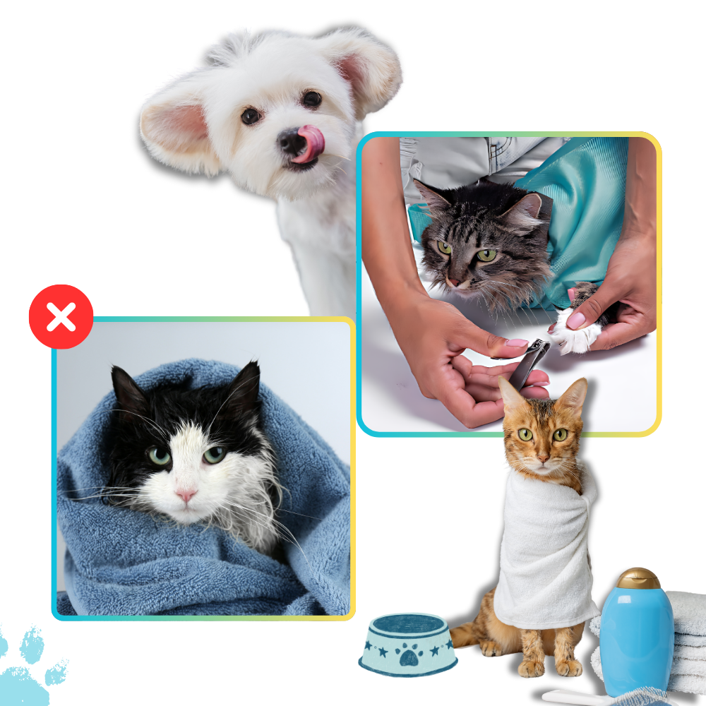 Sac de transport serein pour chat
- Ozerty