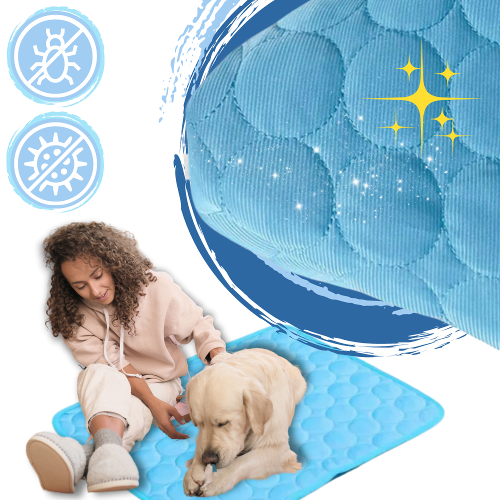 Tapis rafraîchissant en soie pour animaux de compagnie
- Ozerty