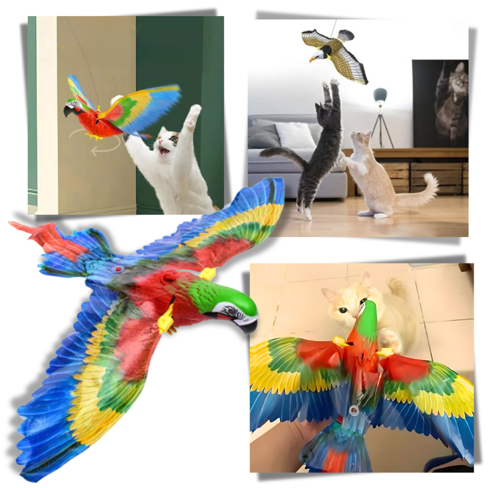 oiseau volant jouet pour chat