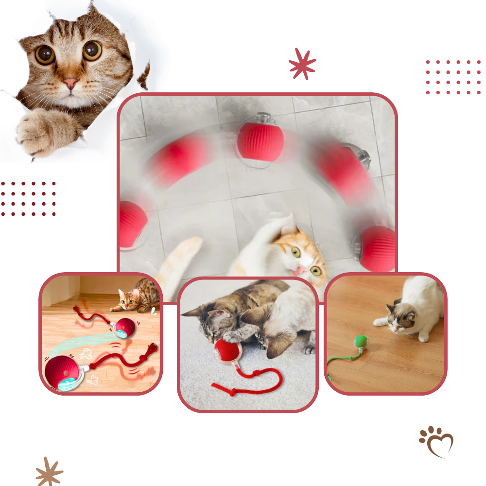 Jouet interactif intelligent pour chats - Ozerty