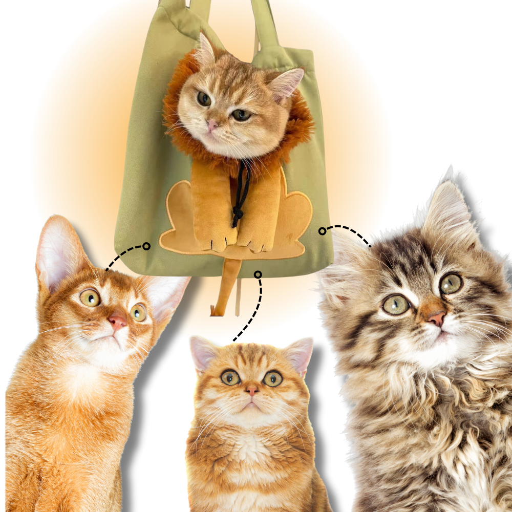 Sac pour chat Lion doux et respirant - Ozerty