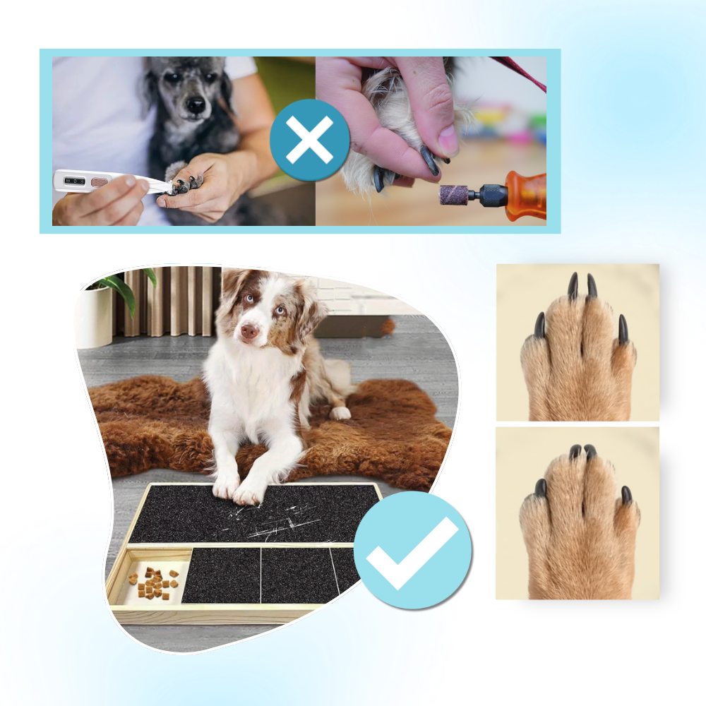 Griffoir anti-stress pour chiens - Ozerty