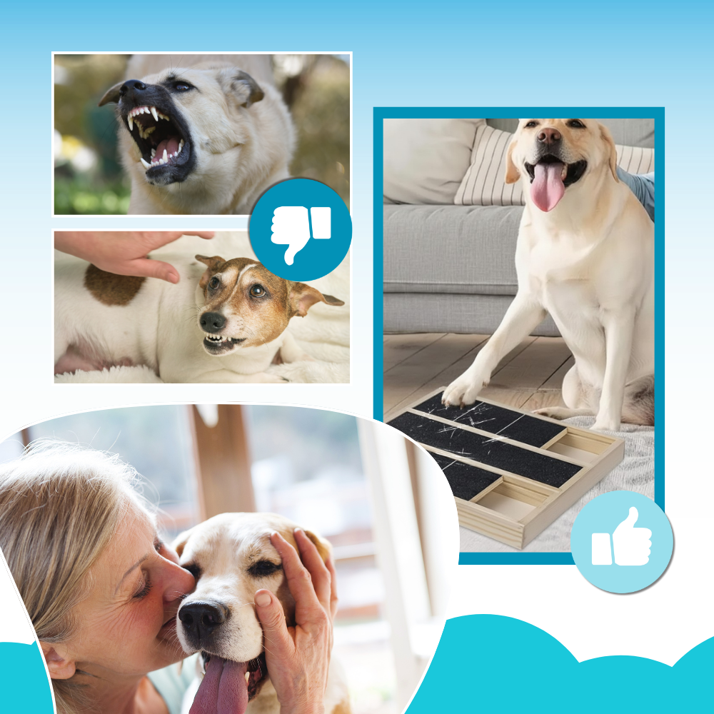 Griffoir anti-stress pour chiens - Ozerty