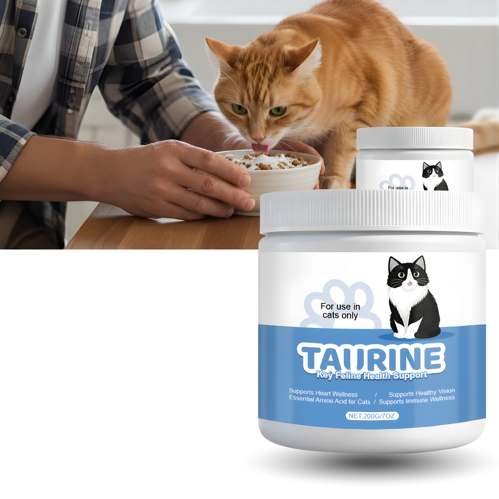 Complément alimentaire à base de taurine pour chats - Ozerty