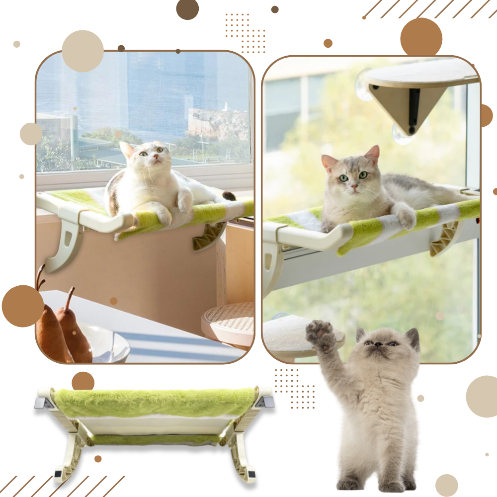 Lit pour chat et perchoir de fenêtre sans outil - Ozerty