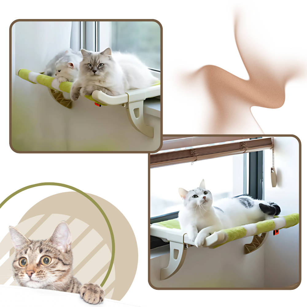 Lit pour chat et perchoir de fenêtre sans outil - Ozerty