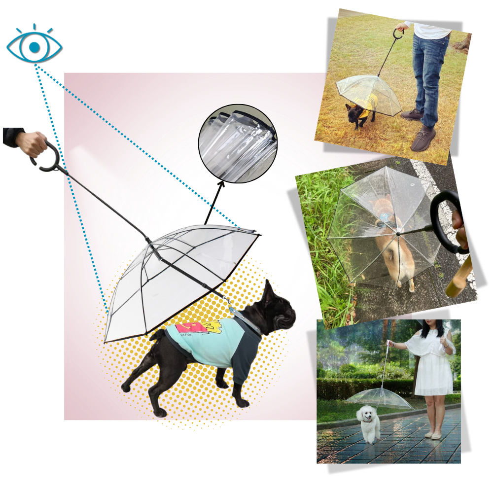 Laisse parapluie transparente pour chien - Ozerty
