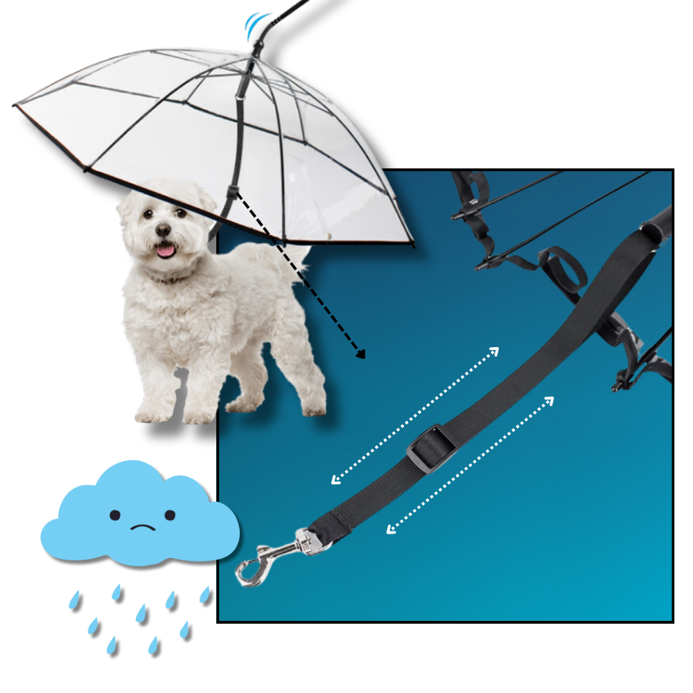Laisse parapluie transparente pour chien - Ozerty