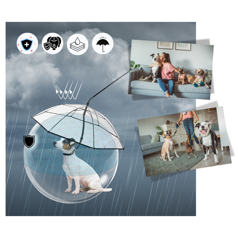 Laisse parapluie transparente pour chien - Ozerty