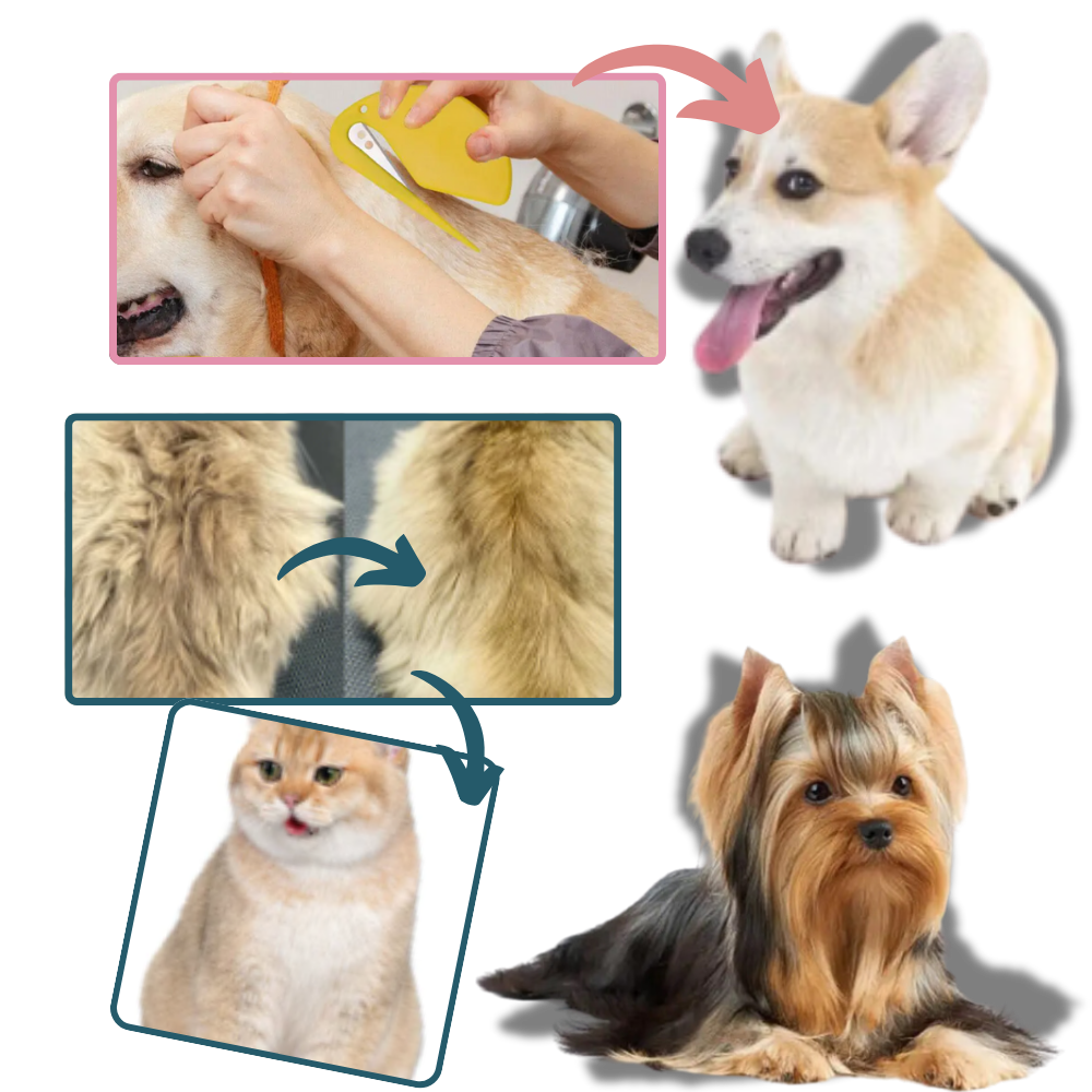 Démêloir polyvalent pour animaux de compagnie
 - Ozerty