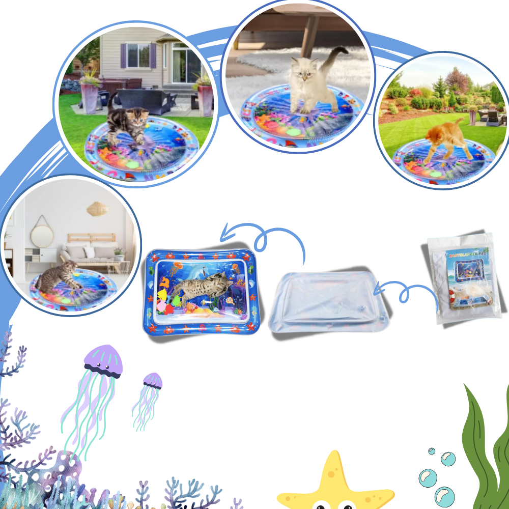 Tapis sensoriel d'eau pour animaux de compagnie
 - Ozerty