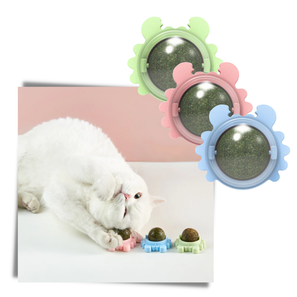 Jouet boule de menthe rotative pour chat - Ozerty
