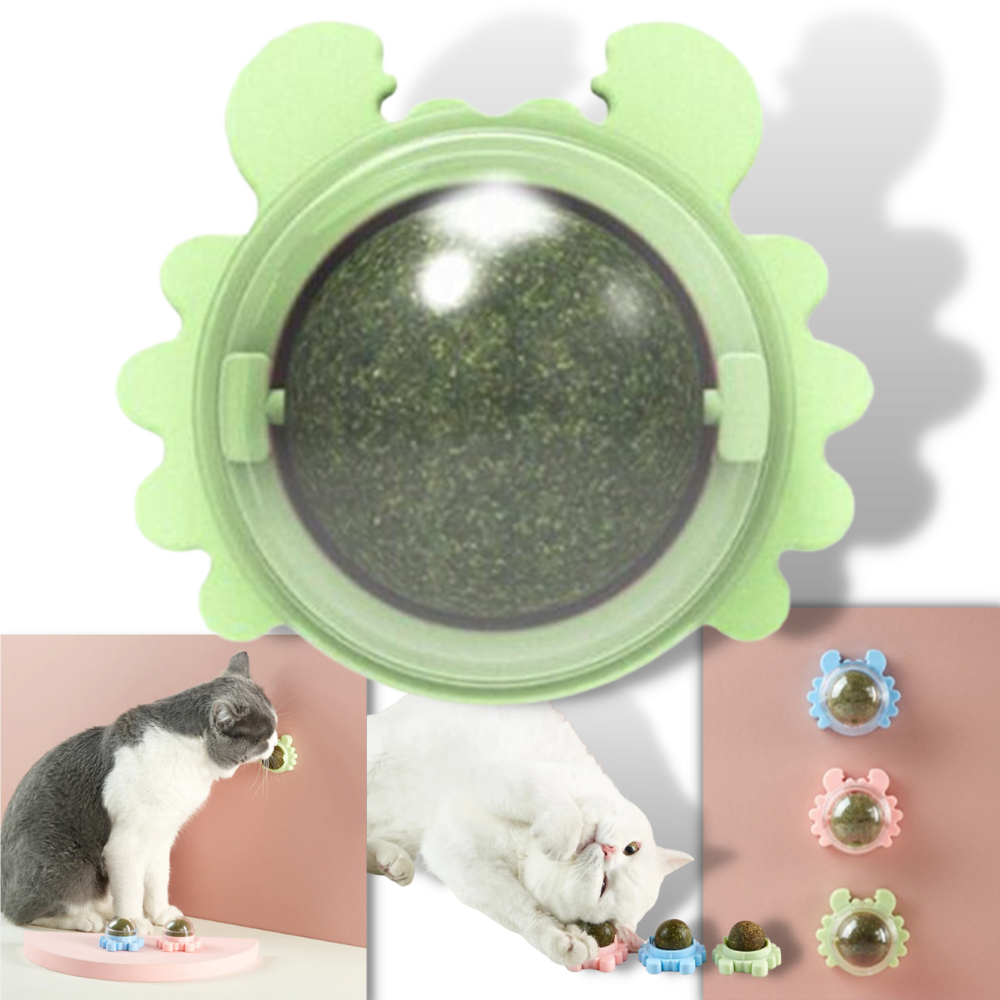 Jouet boule de menthe rotative pour chat - Ozerty