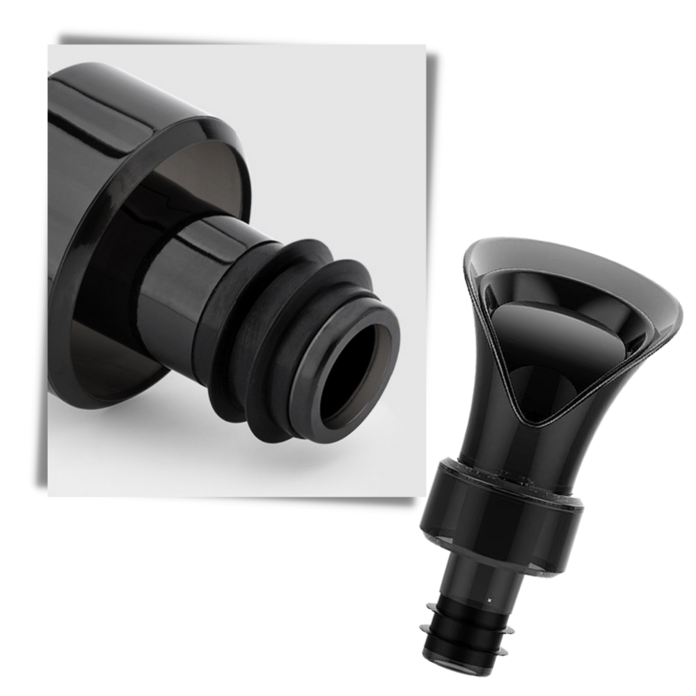 Décanteur de vin 2-en-1 avec bouchon - Ozerty