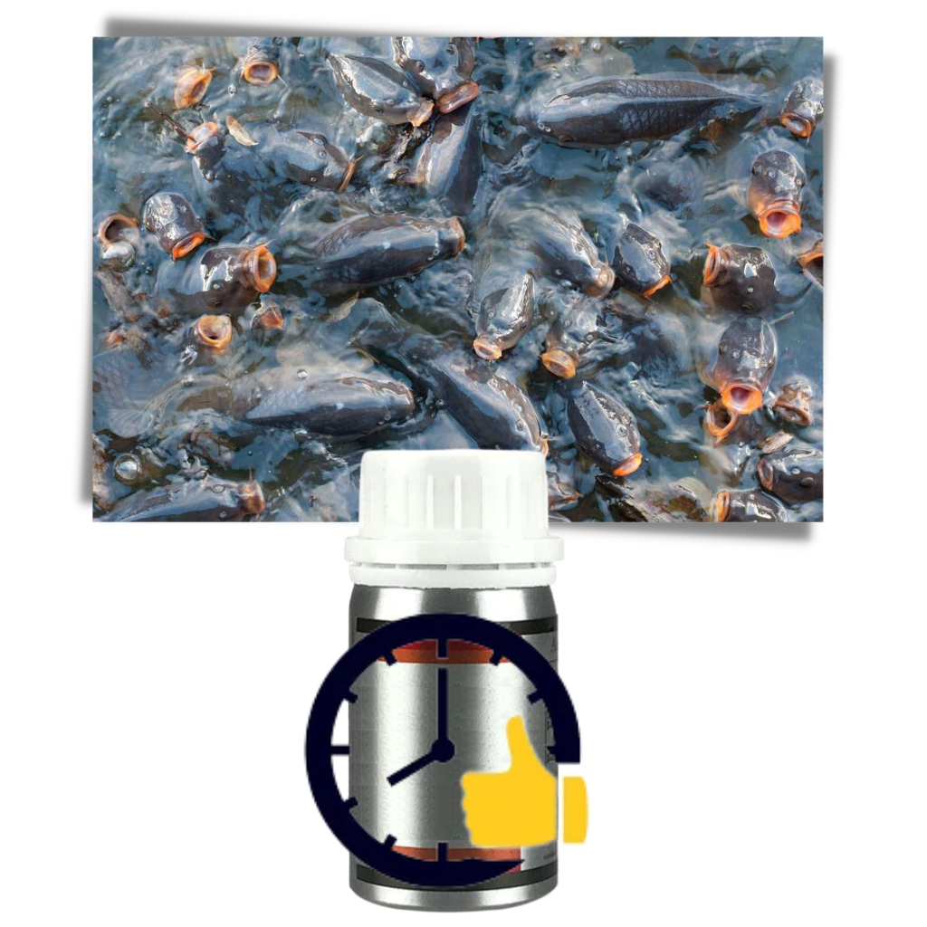 Attractant pour poissons - Ozerty