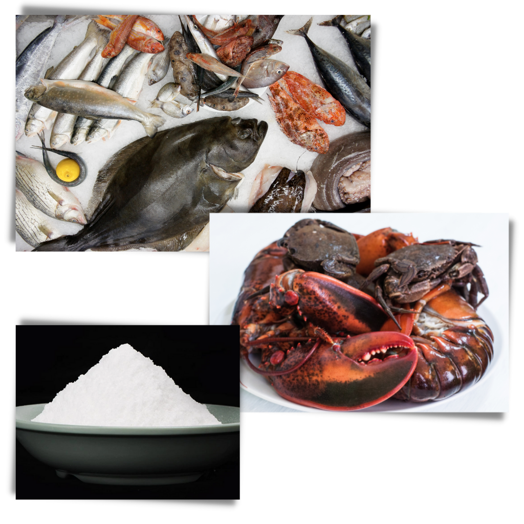 Attractant pour poissons - Ozerty