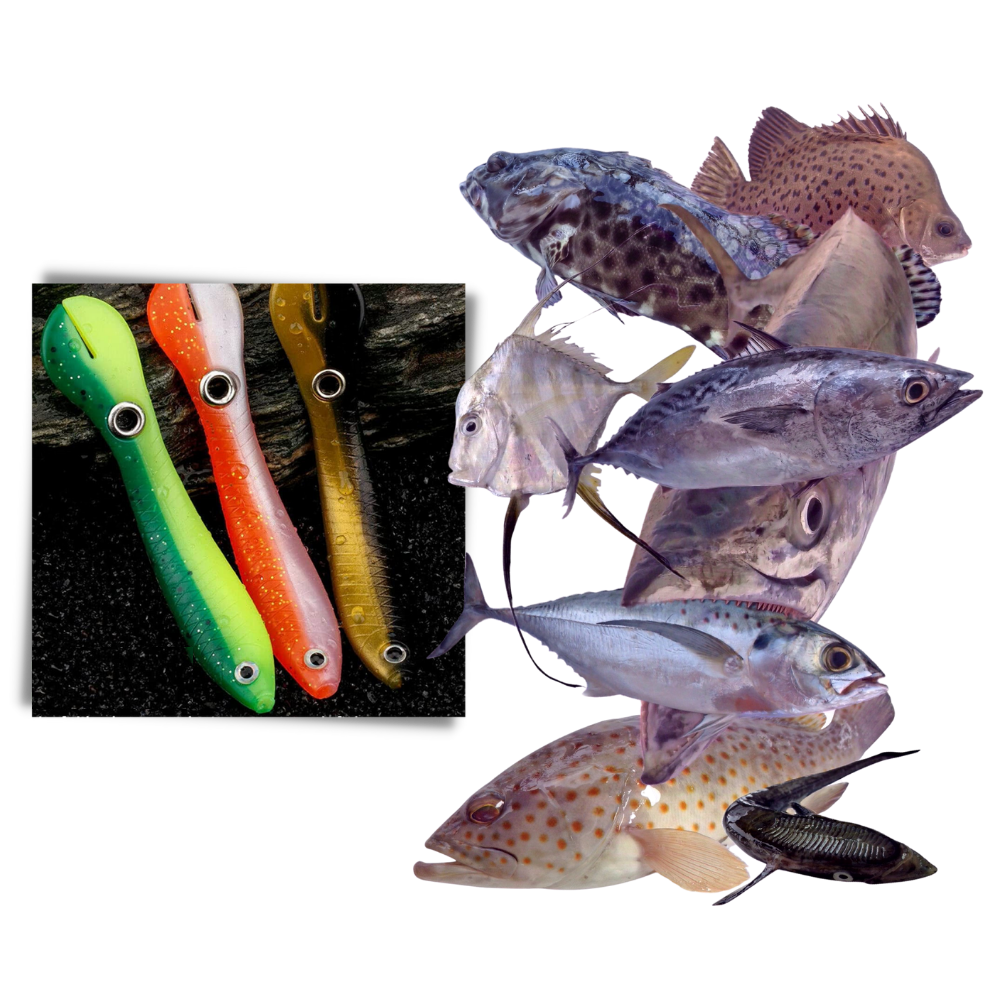 Ensemble d'appâts de pêche artificiels - Ozerty