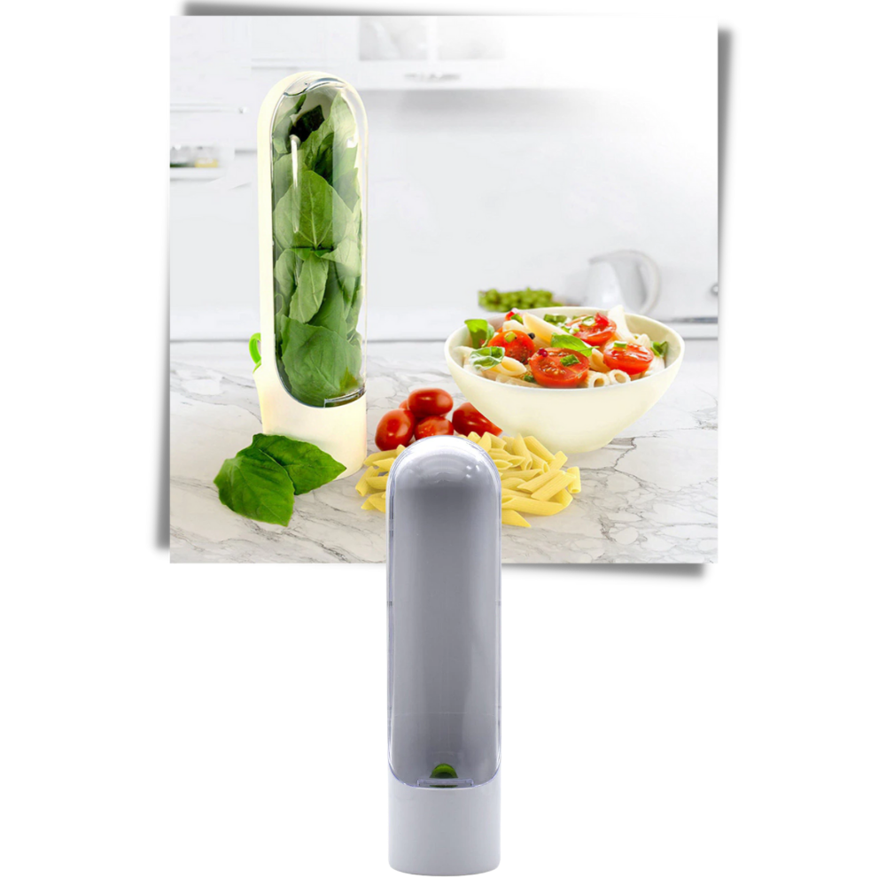 Récipient de conservation des herbes fraîches - Ozerty