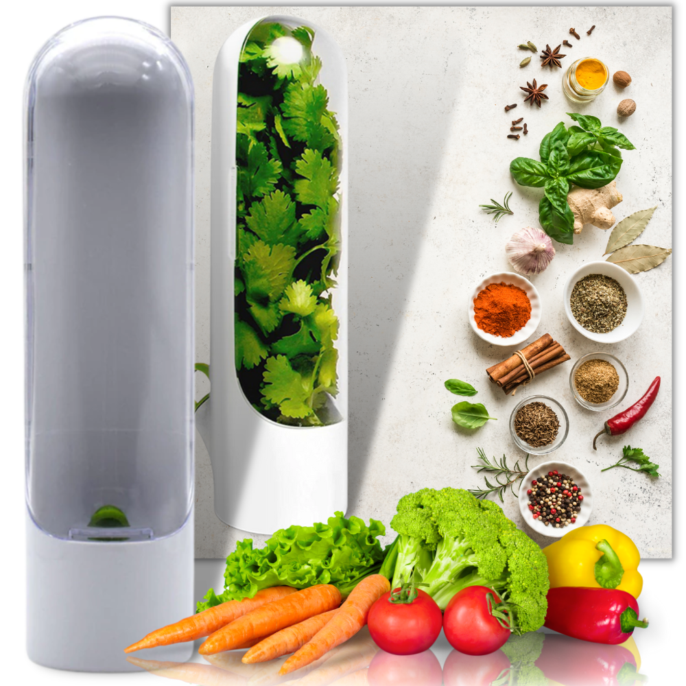 Récipient de conservation des herbes fraîches - Ozerty