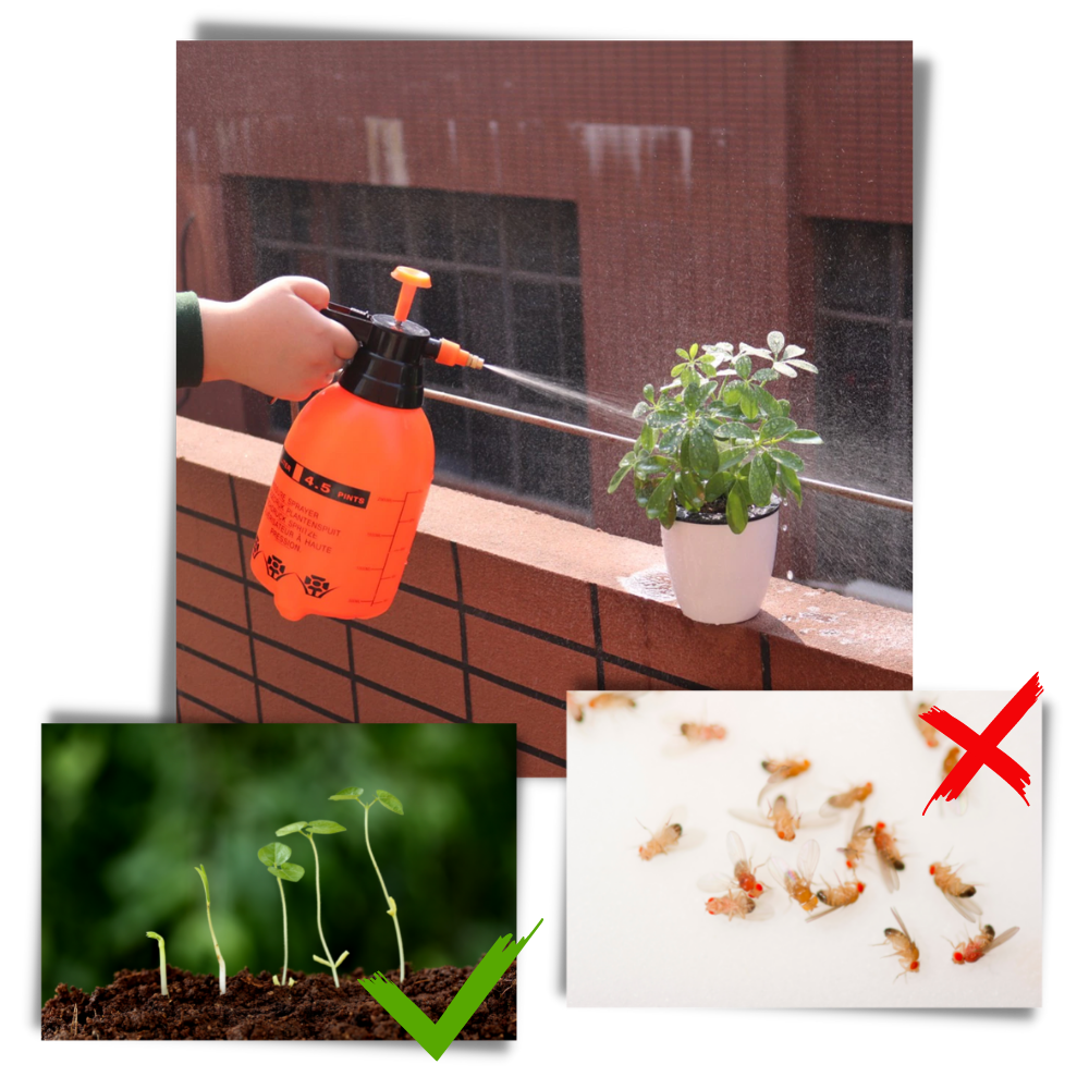 Pulvérisateur de jardin à pompe - Ozerty