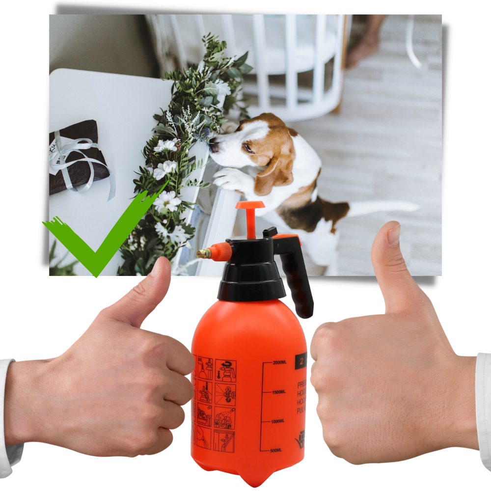 Pulvérisateur de jardin à pompe - Ozerty