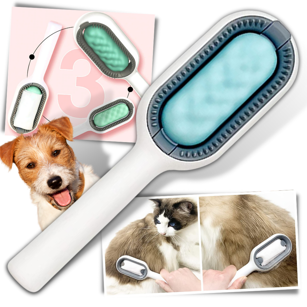 Brosse de toilettage pour animaux - Ozerty
