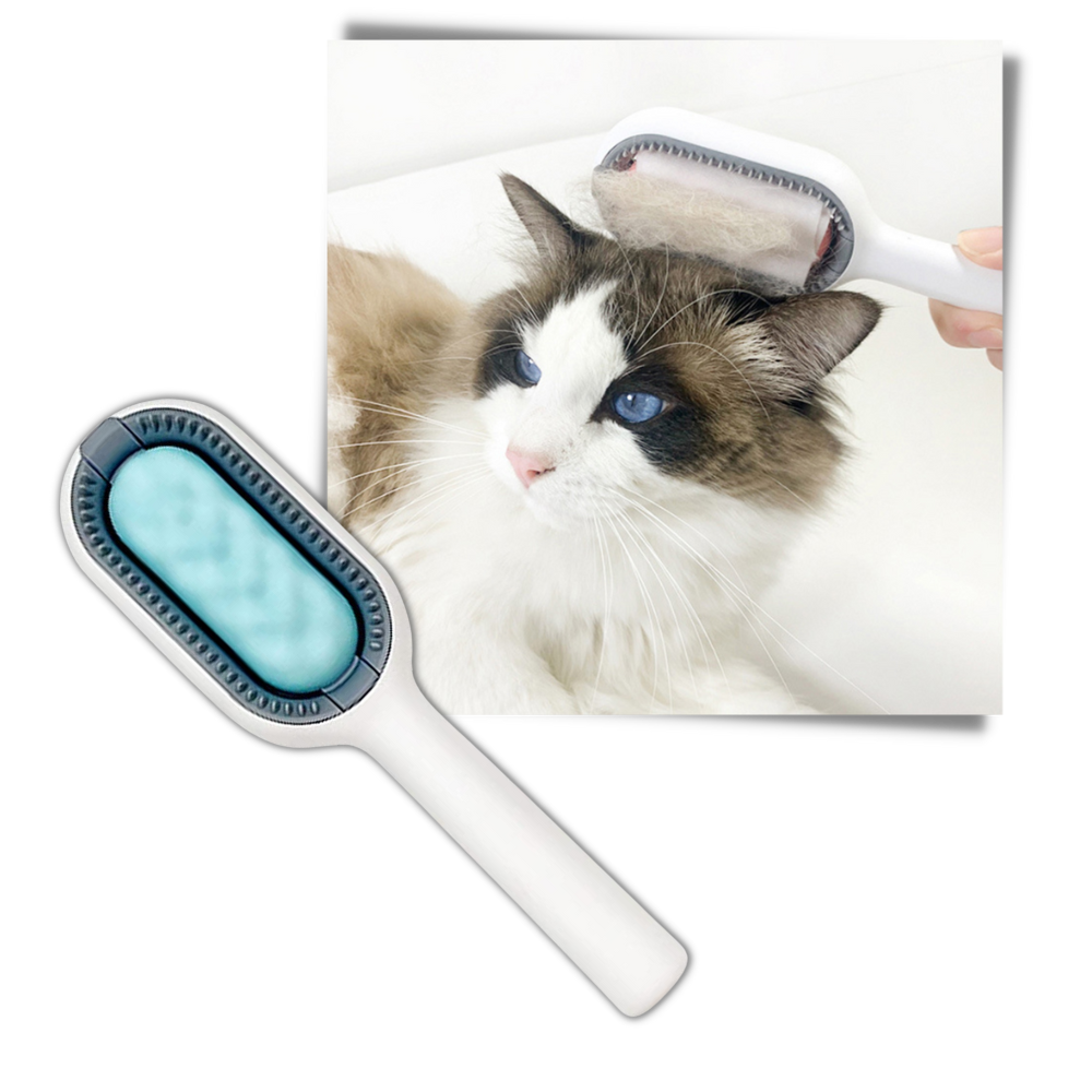 Brosse de toilettage pour animaux - Ozerty