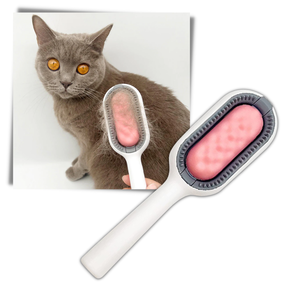 Brosse de toilettage pour animaux - Ozerty