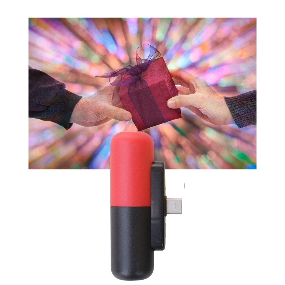 Mini-chargeur portable en forme de capsule - Ozerty