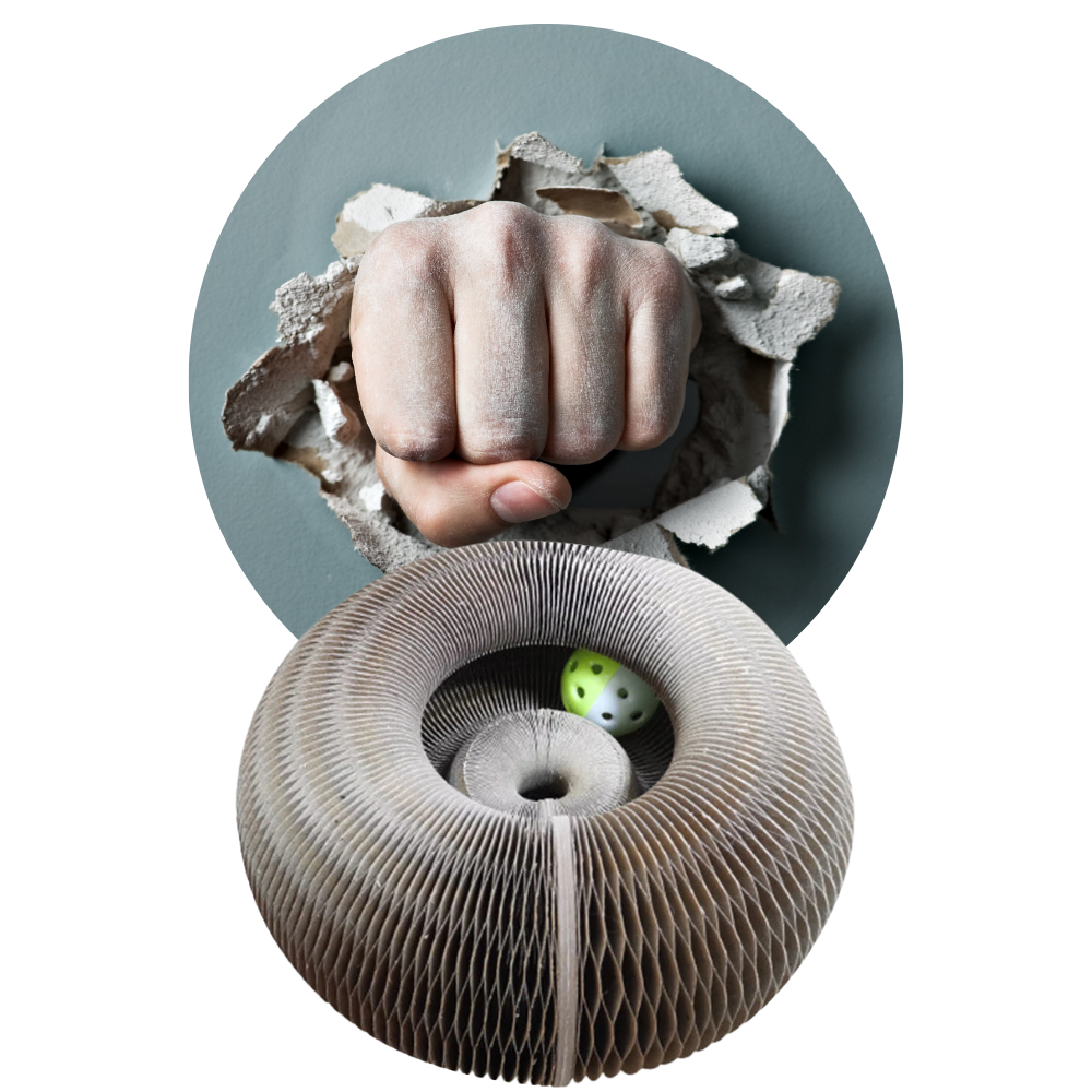 Planche à gratter pour chats - Ozerty