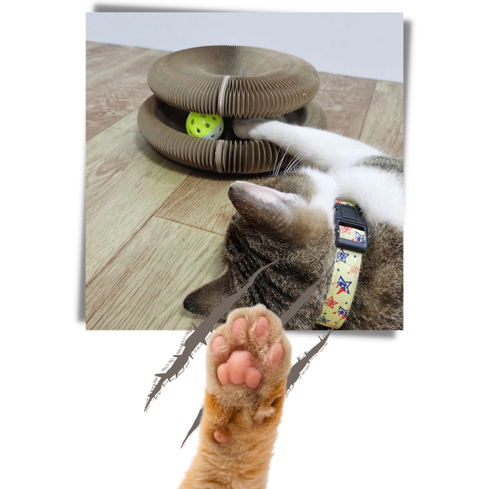 Planche à gratter pour chats - Ozerty