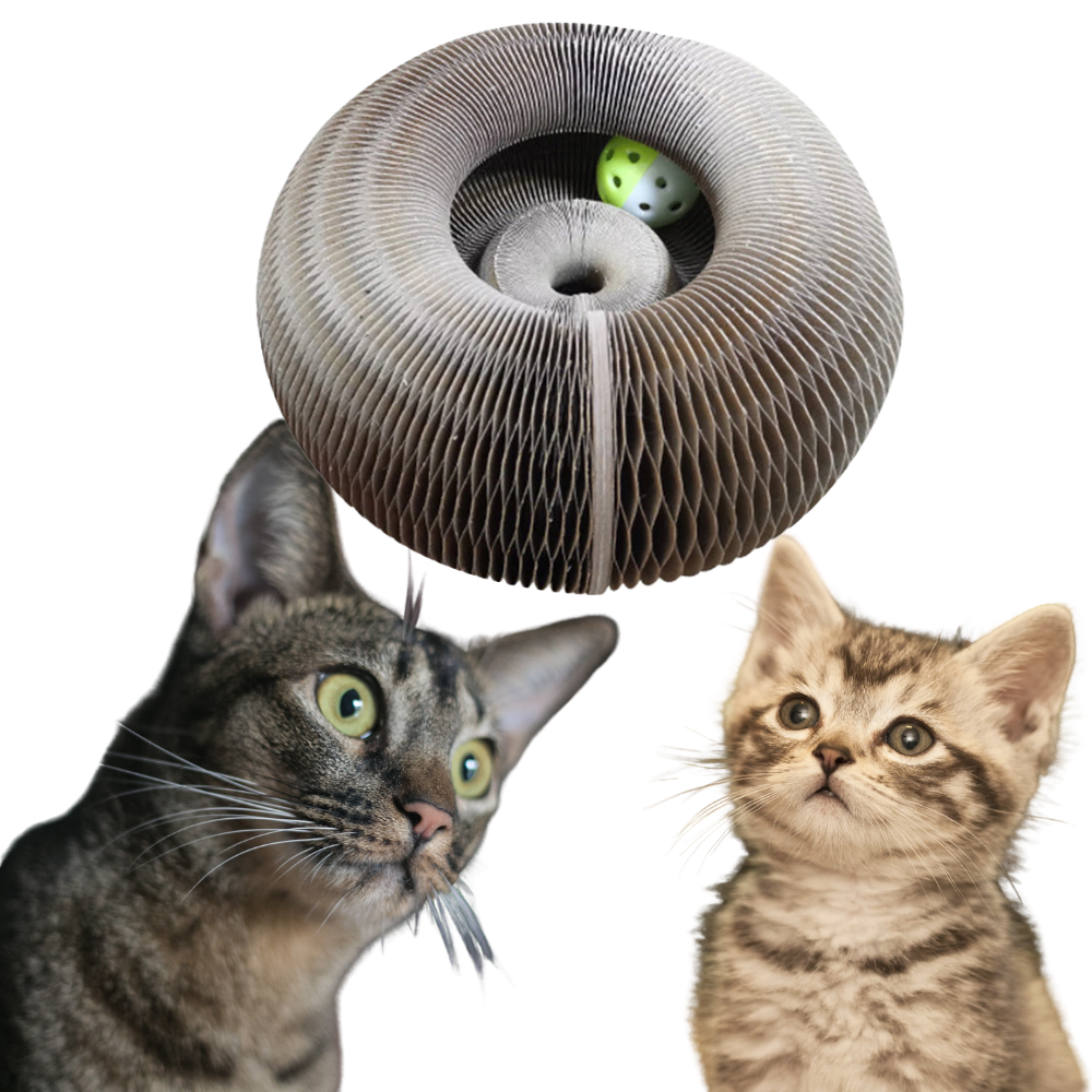 Planche à gratter pour chats - Ozerty