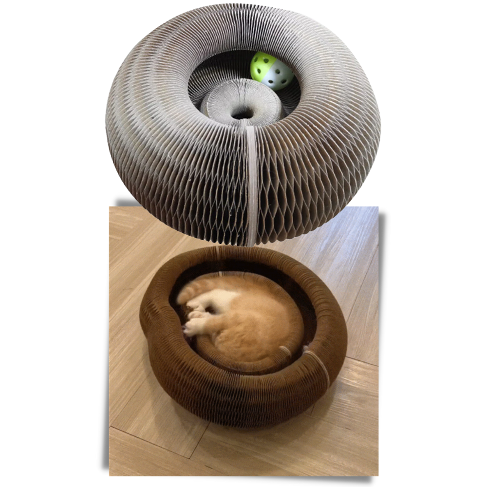 Planche à gratter pour chats - Ozerty