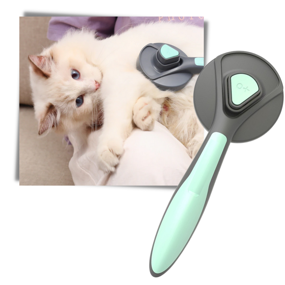 Brosse spéciale pour animaux de compagnie - Ozerty