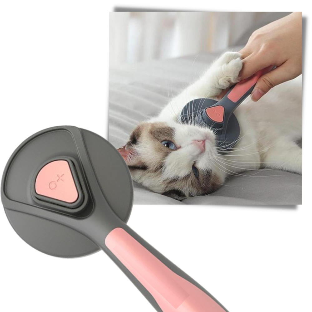 Brosse spéciale pour animaux de compagnie - Ozerty