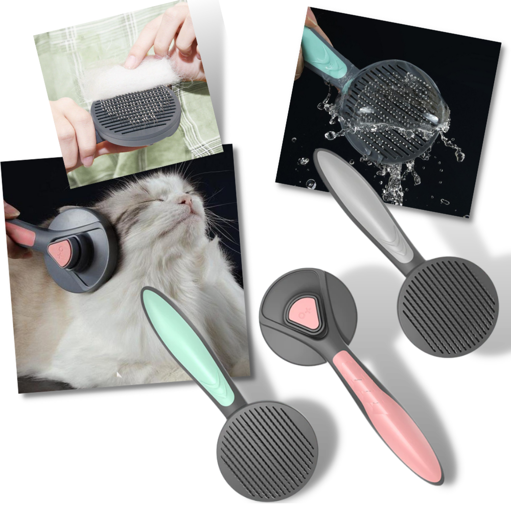 Brosse spéciale pour animaux de compagnie