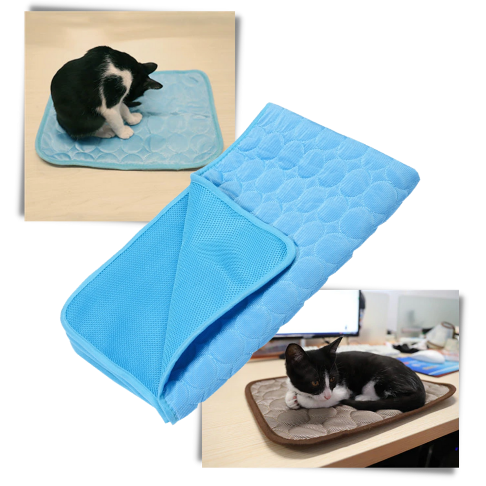 Tapis réfrigérant pour animaux de compagnie - Ozerty