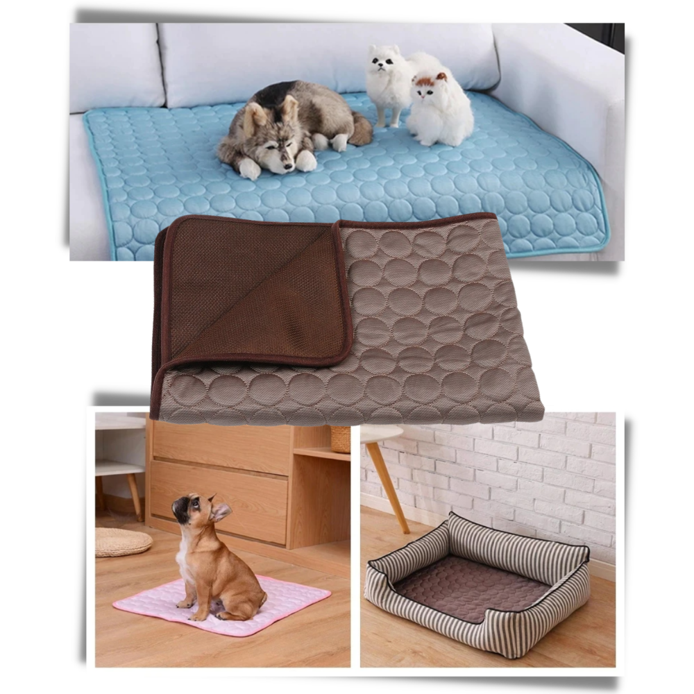 Tapis réfrigérant pour animaux de compagnie - Ozerty