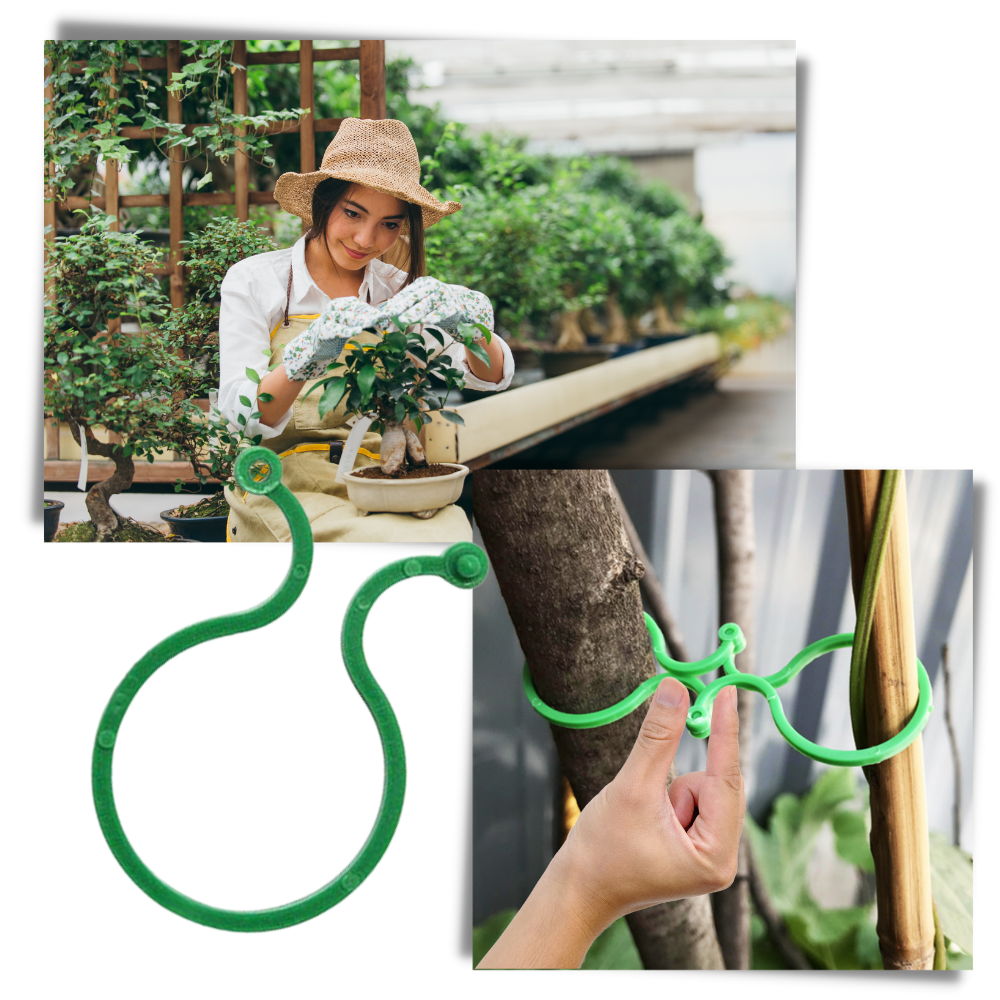 Lot d'attaches pour plantes de jardin - Ozerty