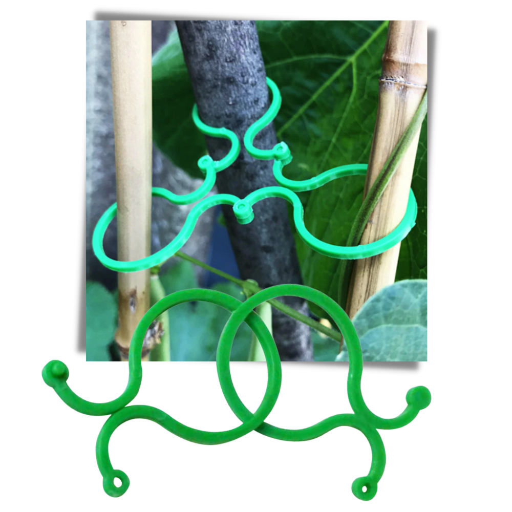Lot d'attaches pour plantes de jardin - Ozerty