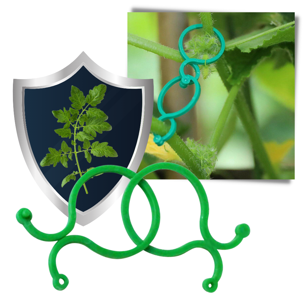 Lot d'attaches pour plantes de jardin - Ozerty