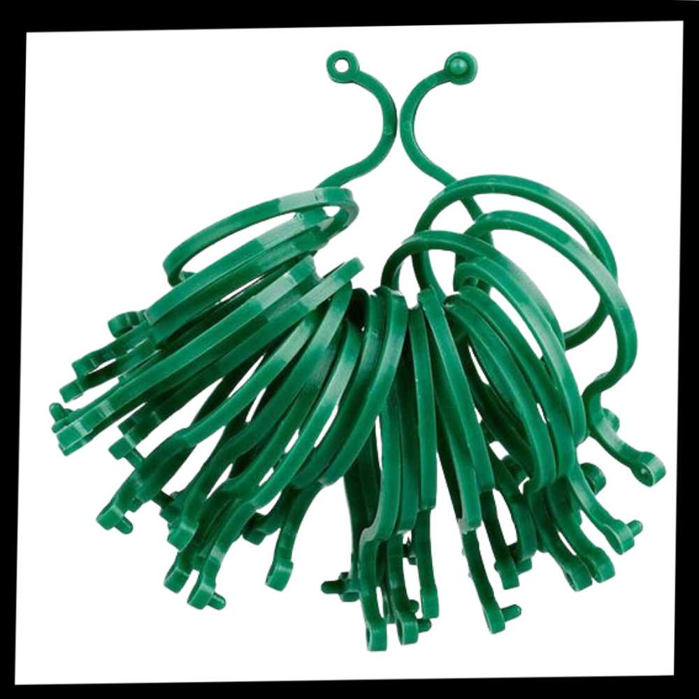 Lot d'attaches pour plantes de jardin - Ozerty