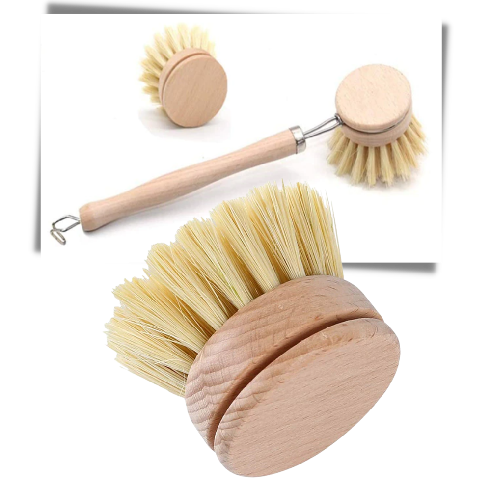Brosse à récurer écologique - Ozerty