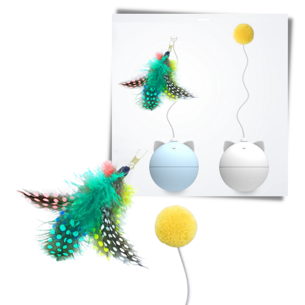 Balle -Jouet pour chat avec fonction d'auto-roulement - Ozerty